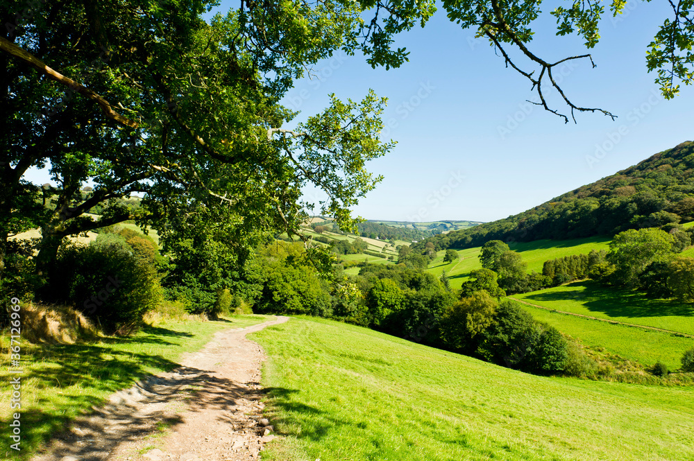 Hills, combes and fields near Winsford, Exmoor, Somerset, England