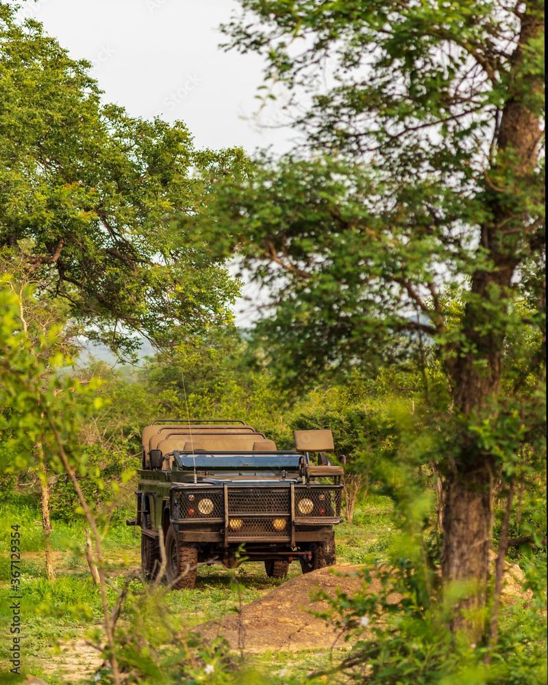 African Safari car display in the wilderness