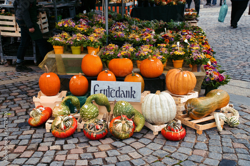 Different pumpkins at an authentic street market in Germany
