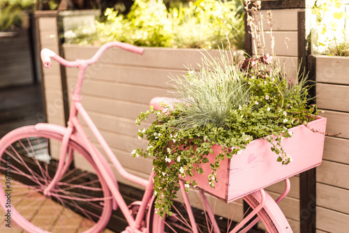 Transportation of flowers from the garden and shop by bike. Eco-friendly delivery concept.