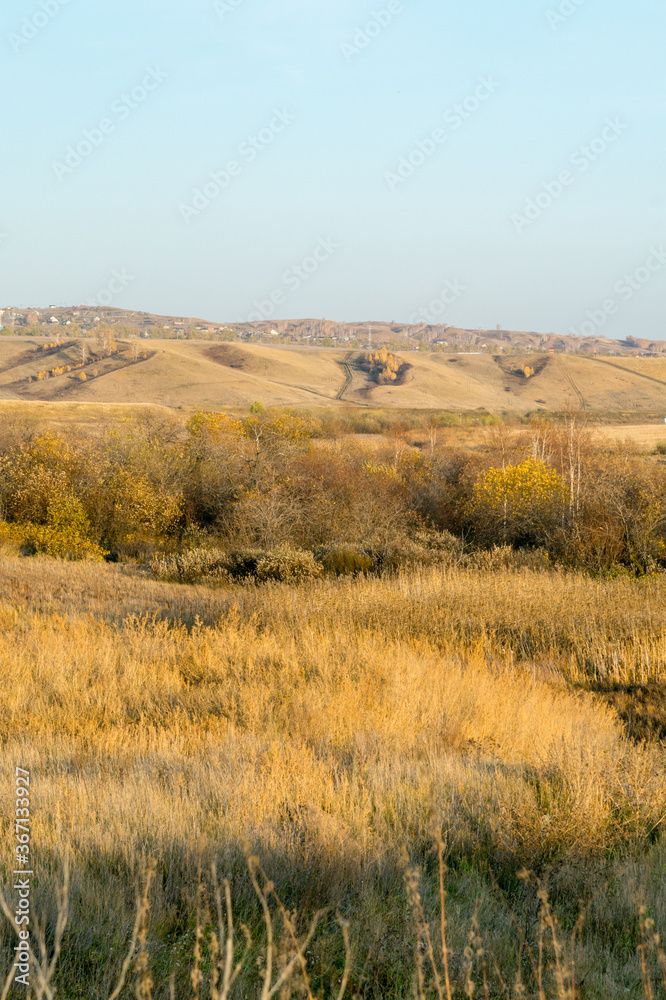 Autumn rural landscape with yellow hills