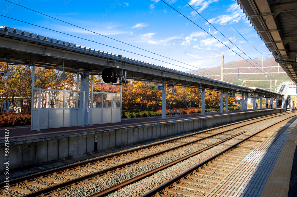An empty platform at a Japan JR station with autumn trees in the background
