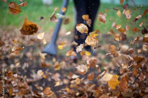 Cleaning dry leaves with a wind turbine.