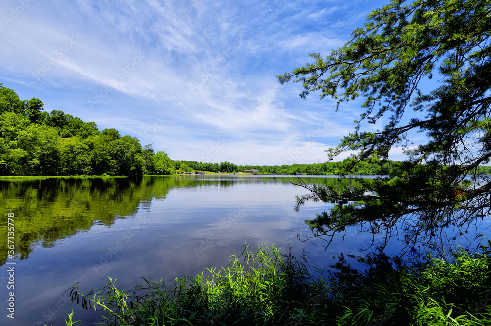 Stillness of the Lake Stillness of the Lake