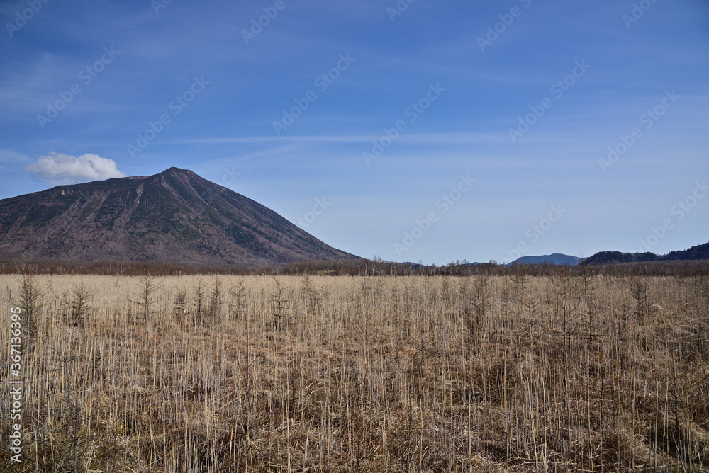 Obraz premium Senjogahara Marshland, Nikko, Japan