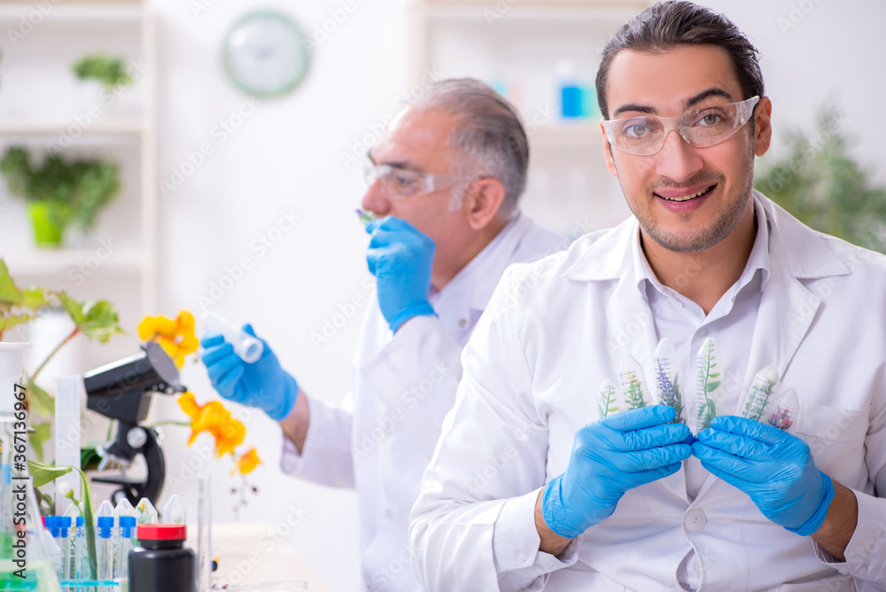 Two chemists working in the lab Two chemists working in the lab
