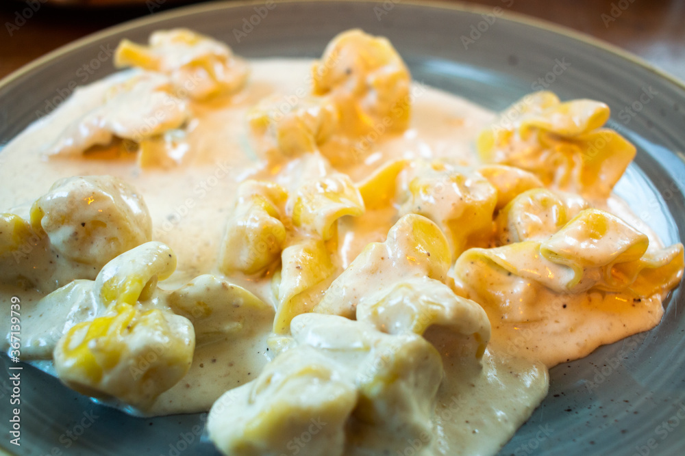 creamy pasta on a plate creamy pasta on a plate