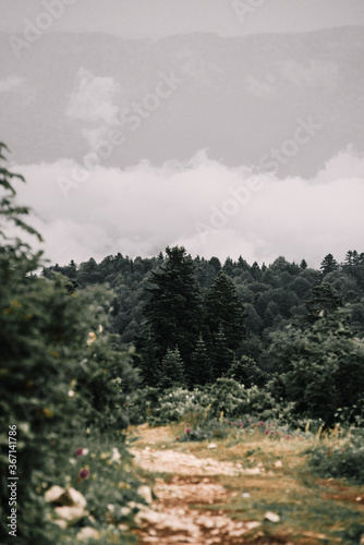 mountain