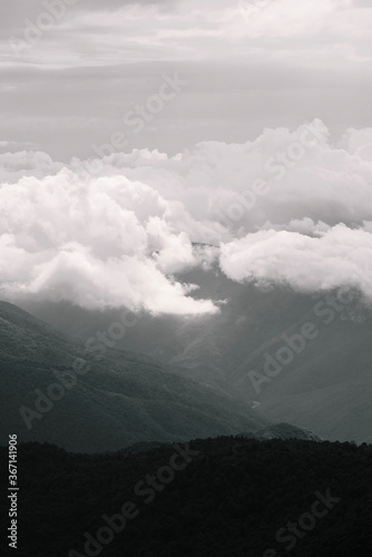 fog in the mountains