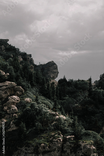 fog in the mountains