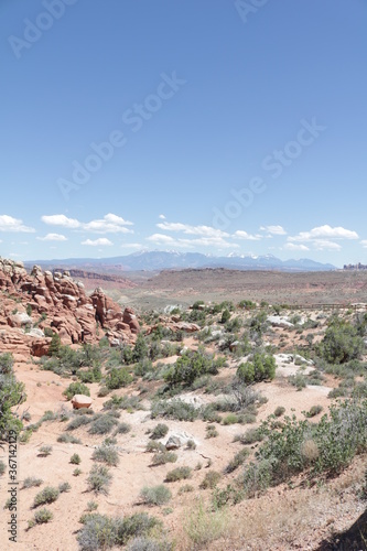 Landscape of Arches National Park