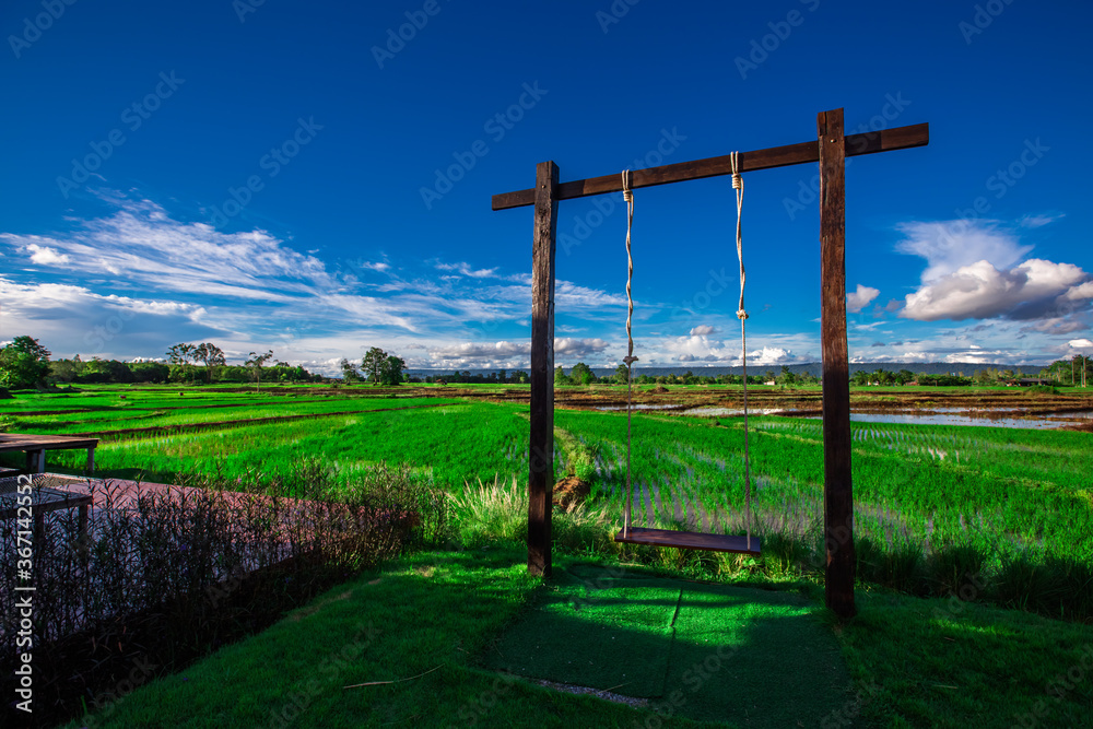 The panoramic background of the green rice fields, with wooden bridges to walk in the scenery and the wind blows through the cool blurred while traveling.