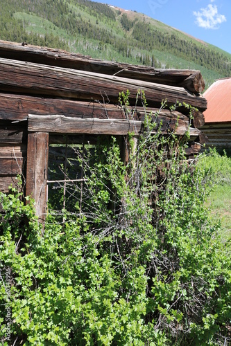 The old ghost town of Ashcroft near Aspen Colorado photo