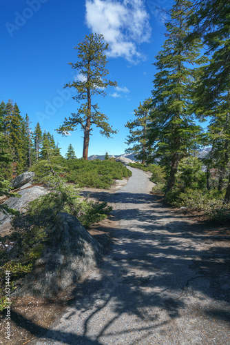 hiking to glacier point in yosemite national park in california, usa