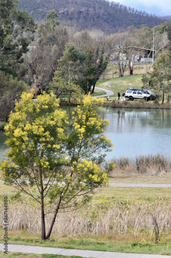 Fototapeta premium A view of the Lake Pillans Wetlands near Lithgow, Australia