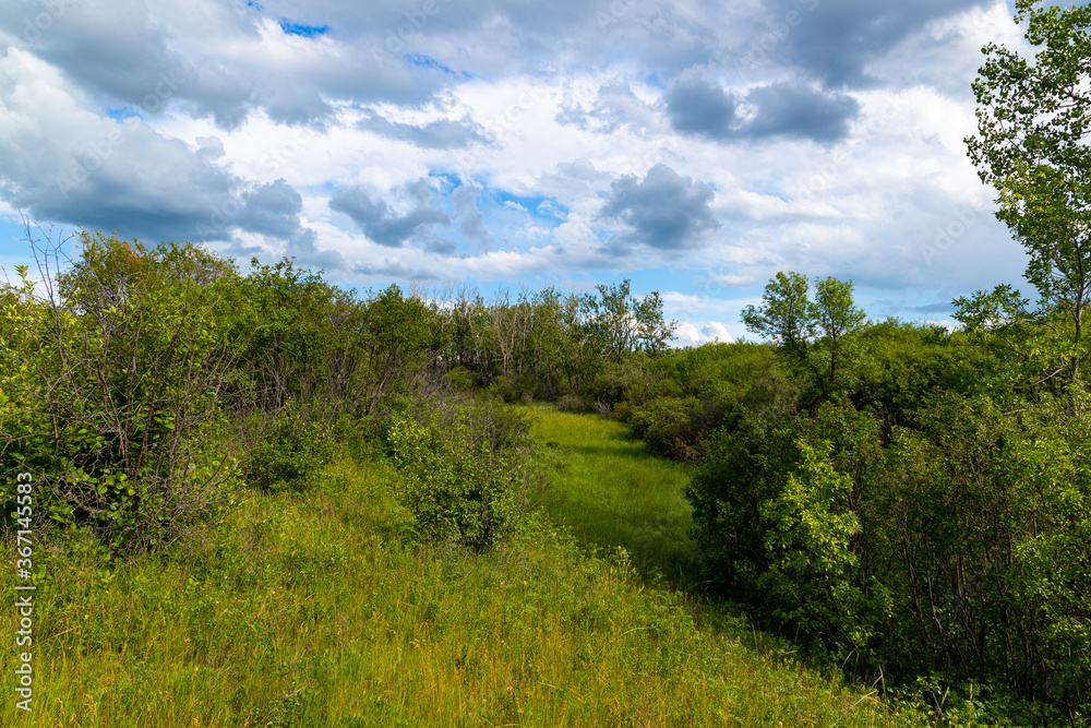 Scenic views of a clearing in a heavy forested area along the South Saskatchewan River near Saskatoon Saskatchewan, Canada