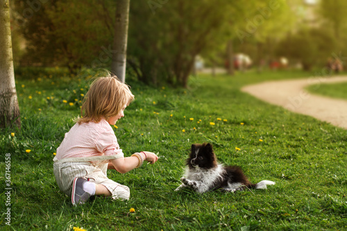 Little boy sitting on the grass, playing with a Pomeranian puppy.