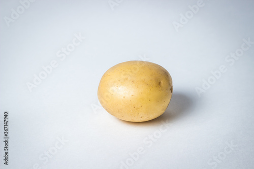 One potato on a white background. New potatoes. Harvesting. Agriculture