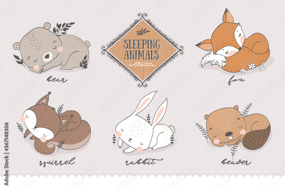 Cartoon forest character collection. Sleeping Animal cute baby teddy bear,  fox, squirrel, bunny, beaver. Doodle stickers. Hand drawn shirt print  design vector illustration. Stock Vector | Adobe Stock