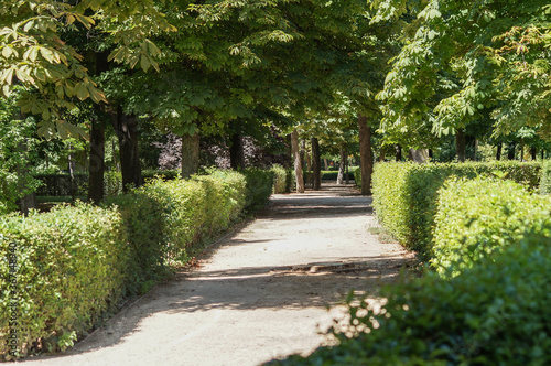Main path in Retiro park in Madrid in a sunny day in summer