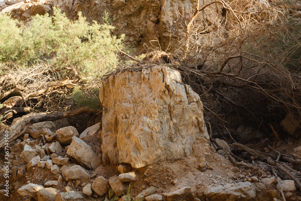 Obraz premium gorge with a stream and waterfall Ein Bokek