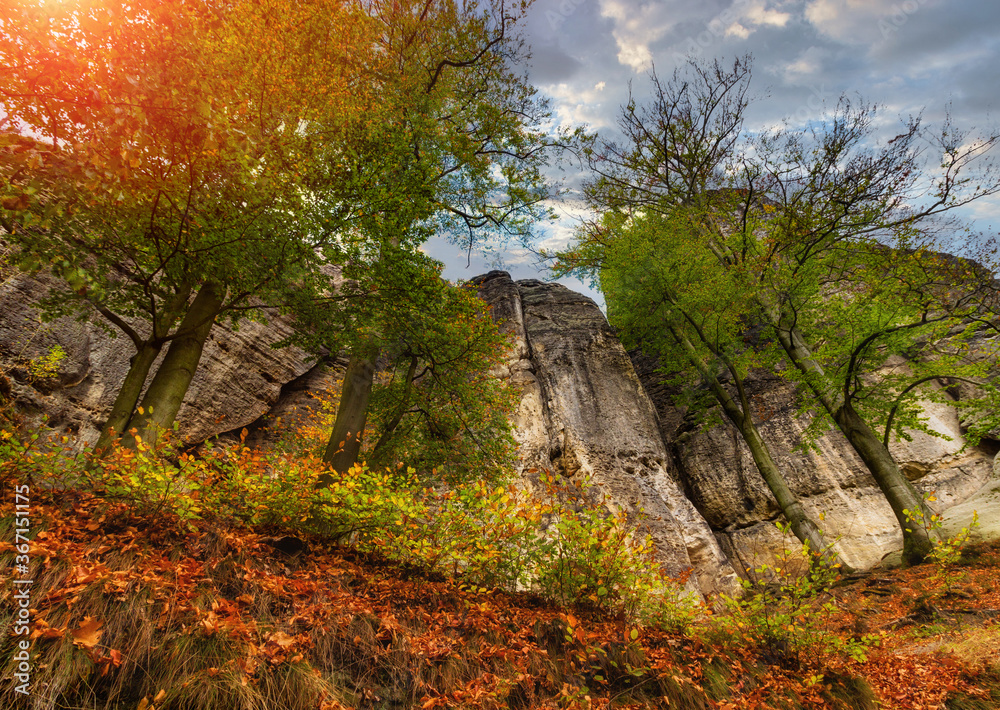 Amazing autumn landscape in Saxon Switzerland National Park. View of exposed sandstone rocks and forest hilly at sunset.Germany. Europe. Concept of outdoor recreation in natural settings out of town.