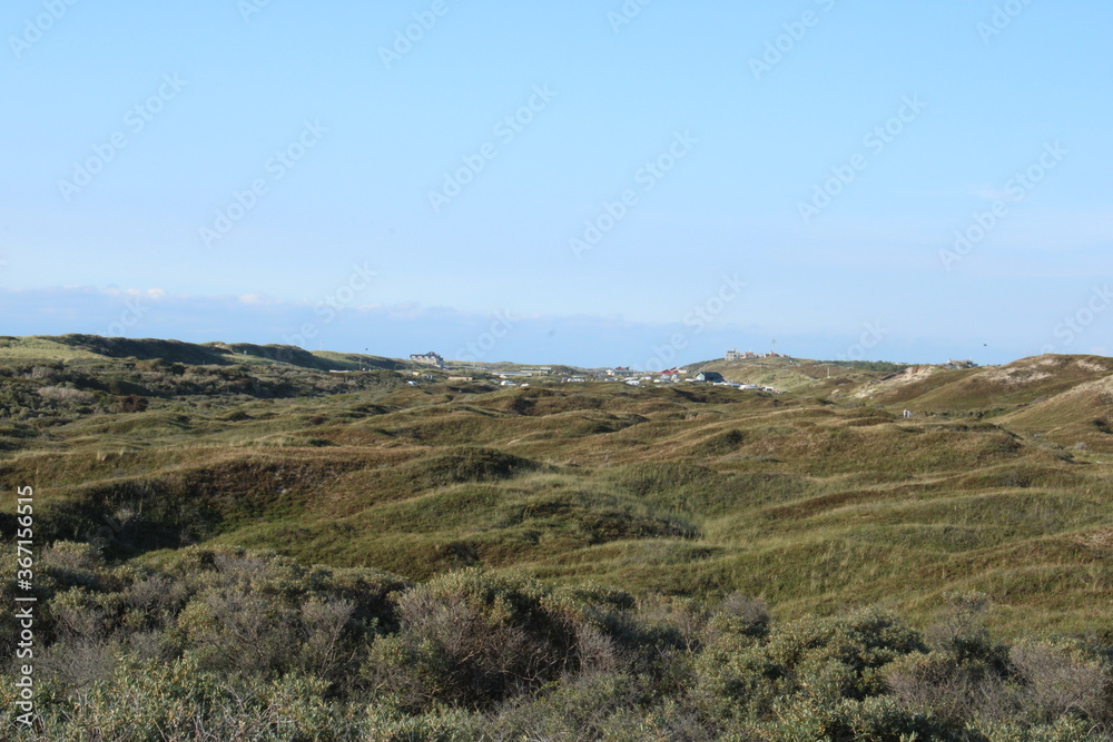 View of the dunes and the Koog, Texel, the Netherlands