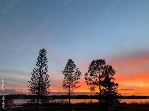 Colorado, sunset, trees, lake