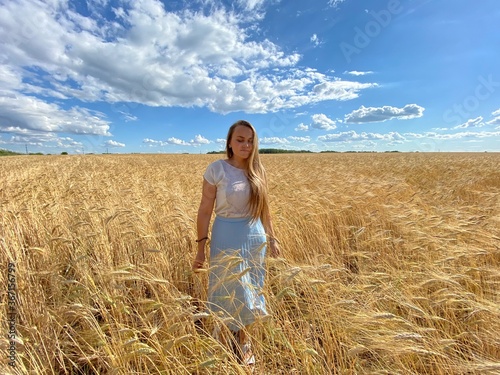 beautiful woman walks in a field with ears, takes pictures in a wheat field
