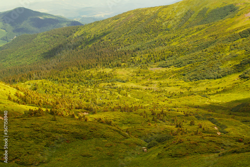 Fototapeta Naklejka Na Ścianę i Meble -  View of the panorama of the Carpathian Mountains