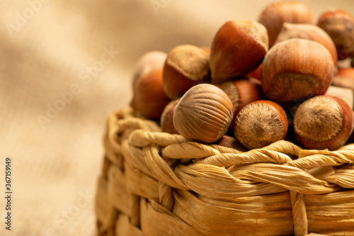 Hazelnut in a wicker basket on a background of homespun fabric with a rough texture. Close up.