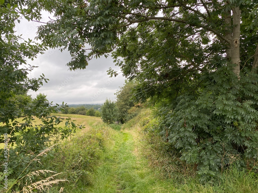 Grass track, between the trees and fields, on a cloudy day near, Brighouse, UK Grass track, between the trees and fields, on a cloudy day near, Brighouse, UK