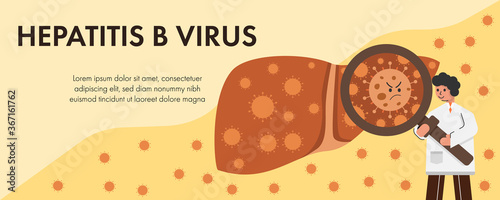 Doctor examine hapatitis B virus in liver.