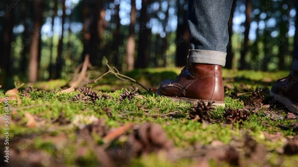 Person is walking in a forest. Close up focus on boot or hiking shoes. Close up view of man’s legs walking in the summer forest. Person is walking in a forest. Close up focus on boot or hiking shoes. Close up view of man’s legs walking in the summer forest.