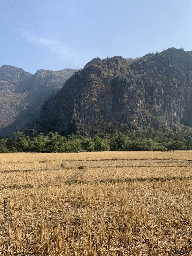 Champs à Kong Lor, Laos Champs à Kong Lor, Laos