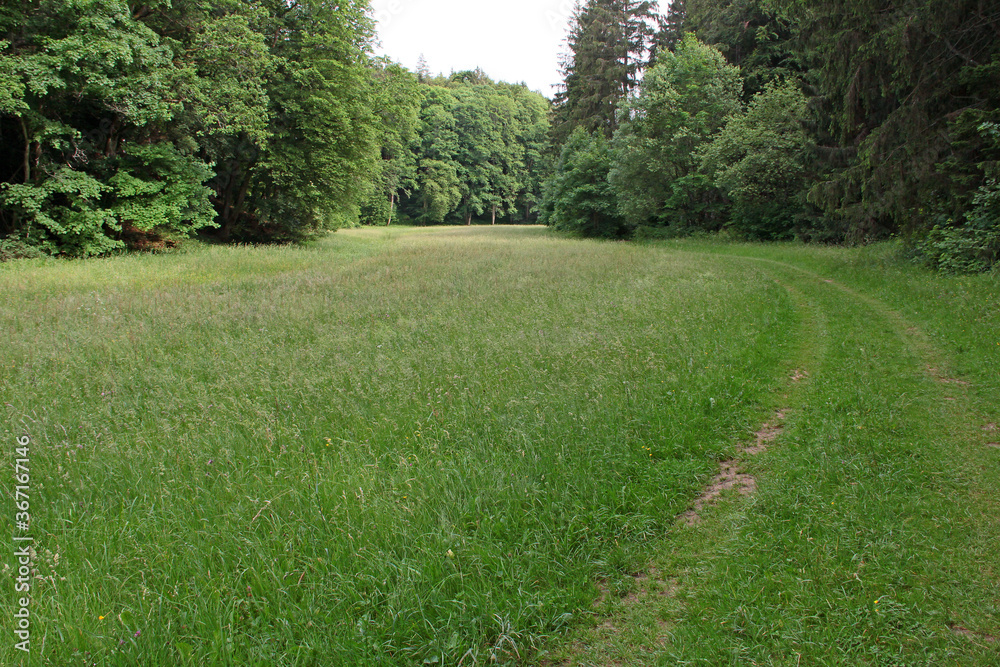 Obraz premium Paradiestal in der Fränkischen Schweiz