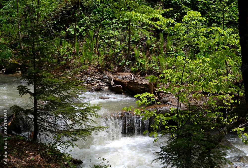 small waterfall in the forest small waterfall in the forest