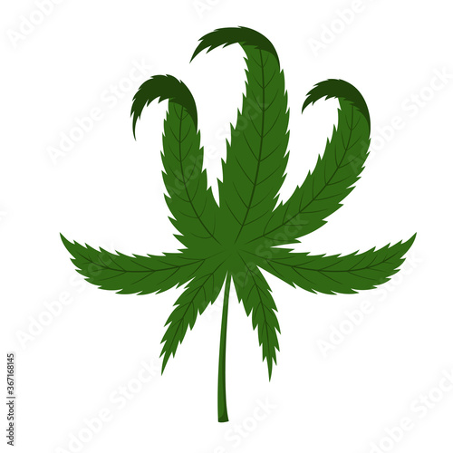 Sheet of green hemp