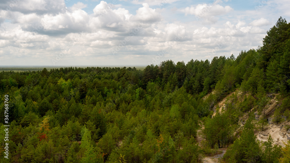 Forest trees view from above. Some trees on hill slope. Cloudy sky. Panoramic view. Nowiny (former quarry area), Poland, Europe.