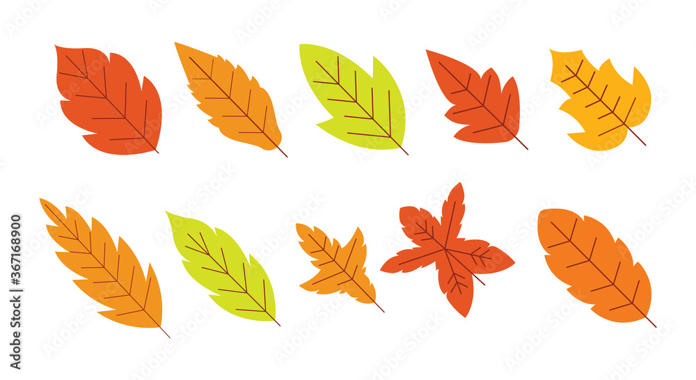 Autumn Maple Leaves Set, Graphic Element Leaf Collection, Vector Autumn Maple Leaves Set, Graphic Element Leaf Collection, Vector