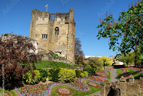 Colourful spring tulips around Guildford Castle, Surrey, on a sunny day photo