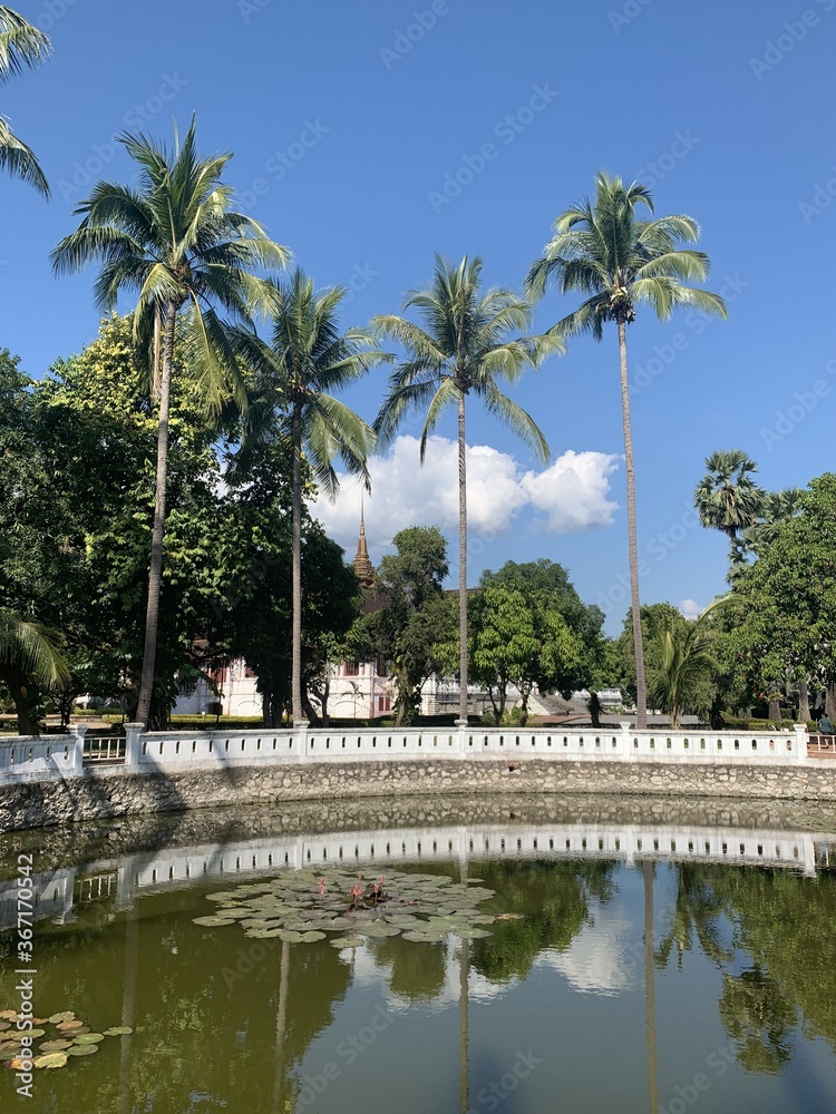 Obraz premium Jardin du palais royal à Luang Prabang, Laos 