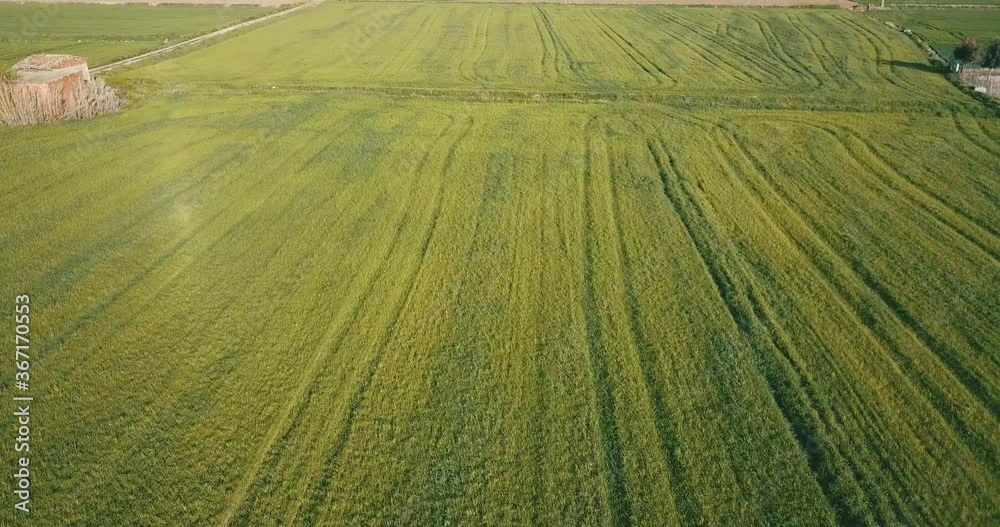 Drone Shot sobre campos. imagenes 4k Vistas bonitas