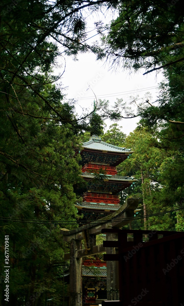 Nikko Nikko