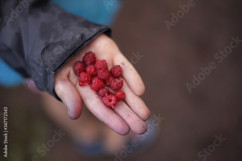 child hand, berry