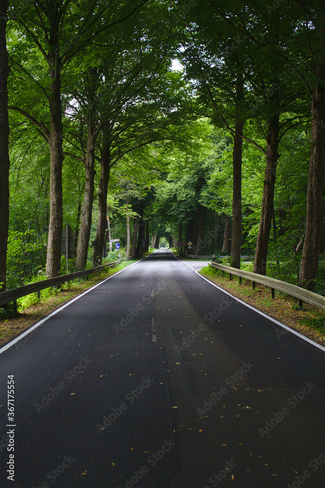 Allee mit Leitplanken und Abzweigung nach rechts