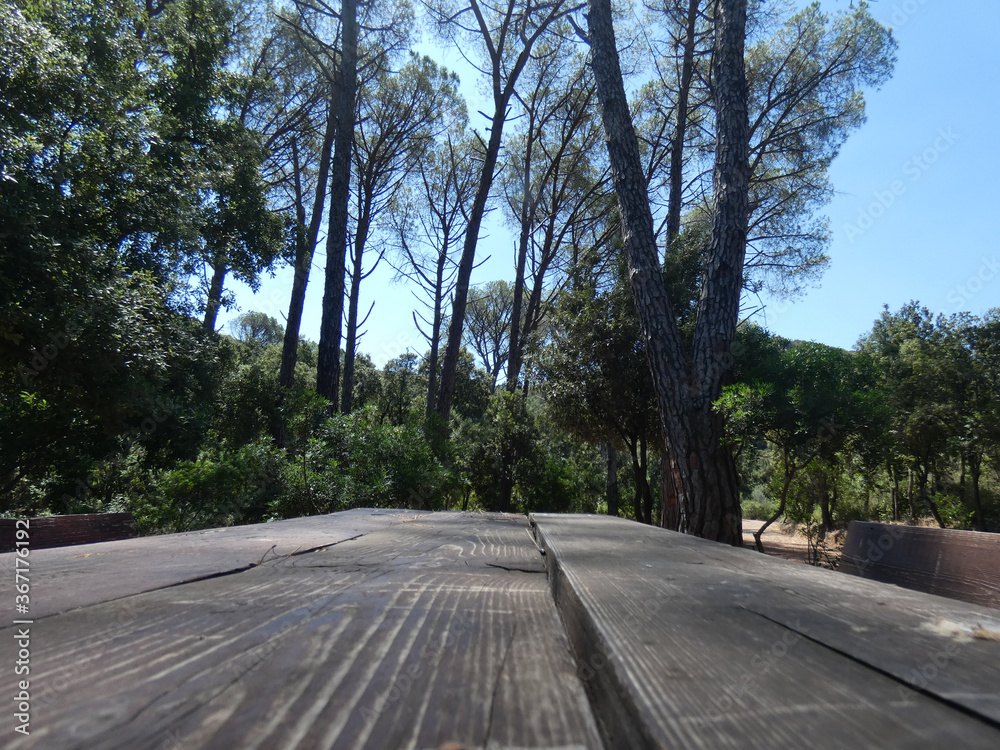 Paesaggio Paesaggio