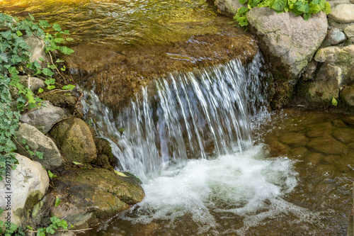 small waterfall in the forest