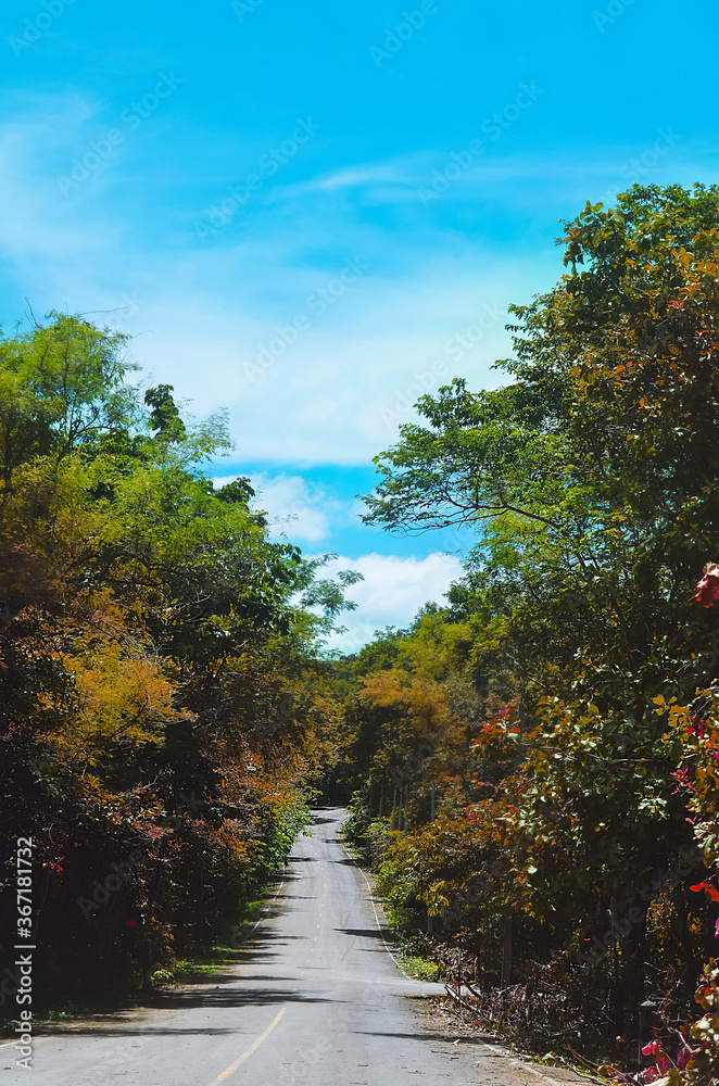 Road in the mountains, highway in mountains at Kaoyai of Thailand