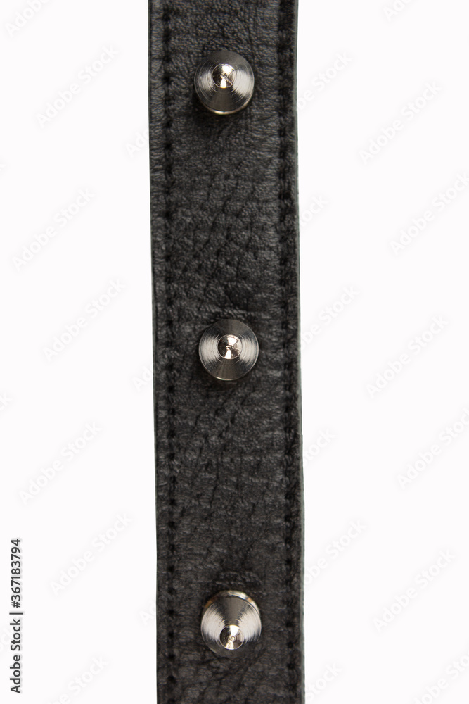 Selective focus black belt with spikes on a white background, close up with no shadows. Black belt with metal spikes for erotic games. Dressed around the neck. Isolate. Place for text. Selective focus black belt with spikes on a white background, close up with no shadows. Black belt with metal spikes for erotic games. Dressed around the neck. Isolate. Place for text.